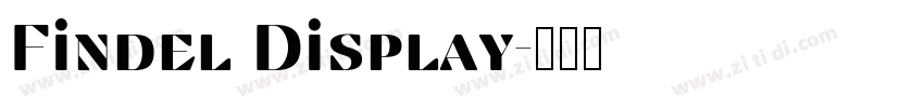 Findel Display字体转换 Findel Display字体转换